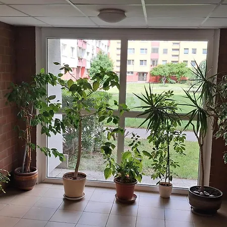 Team Flat & Urban Family Comfort - Homebase With A Castle View